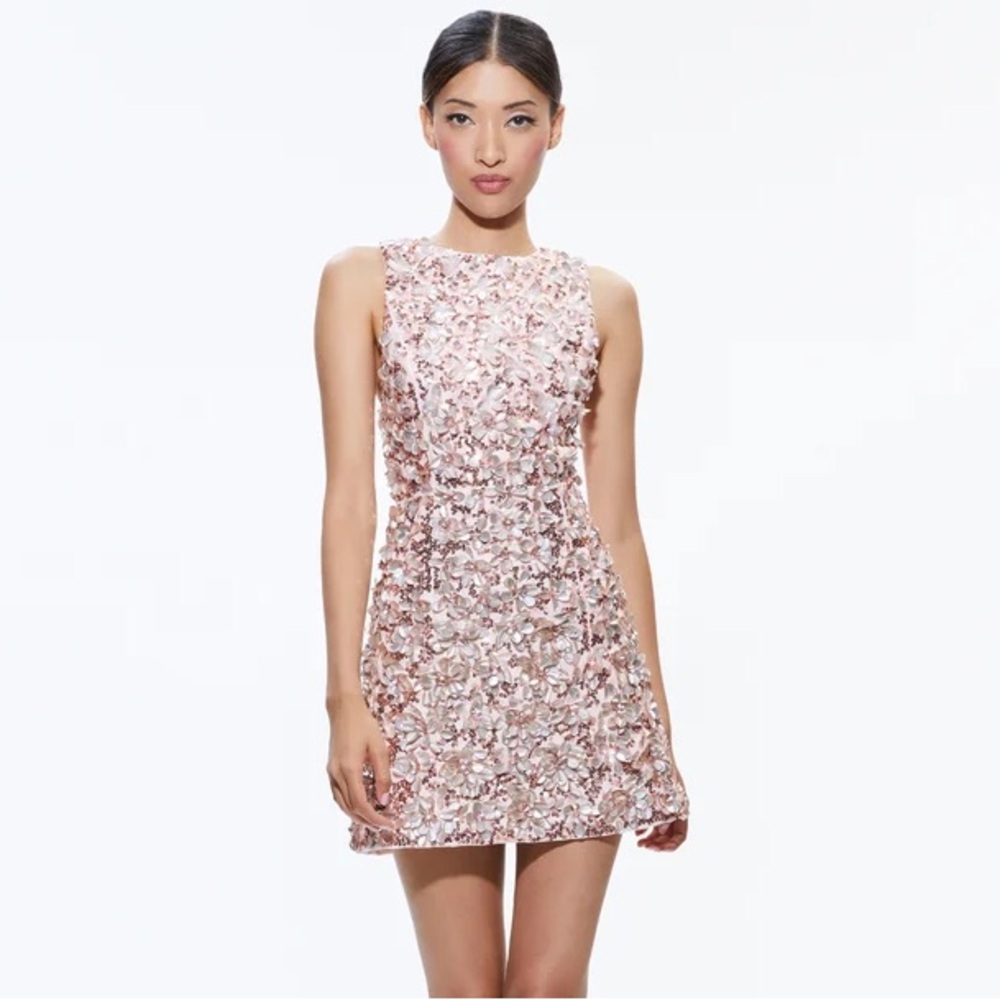 Alice and olivia Lindsey Mini Gown size 8